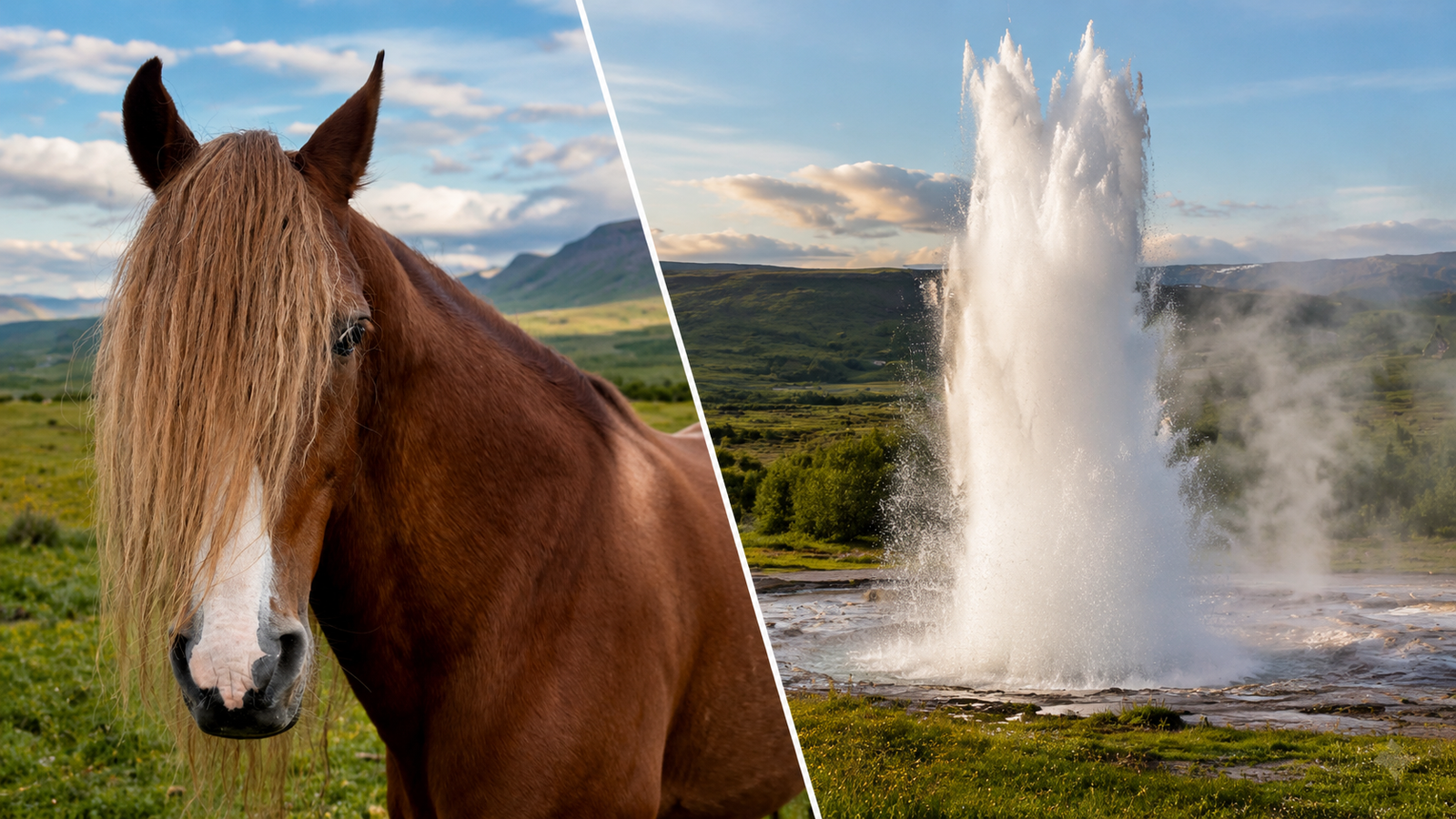 Golden Circle & Horse Riding Private Tour
