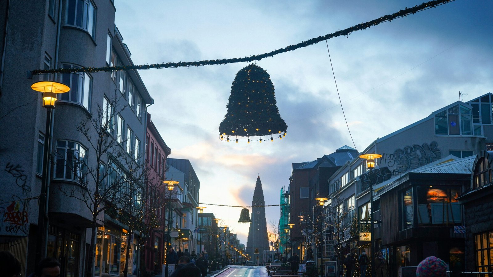 Reykjavík Christmas Lights Private Tour (Seasonal)