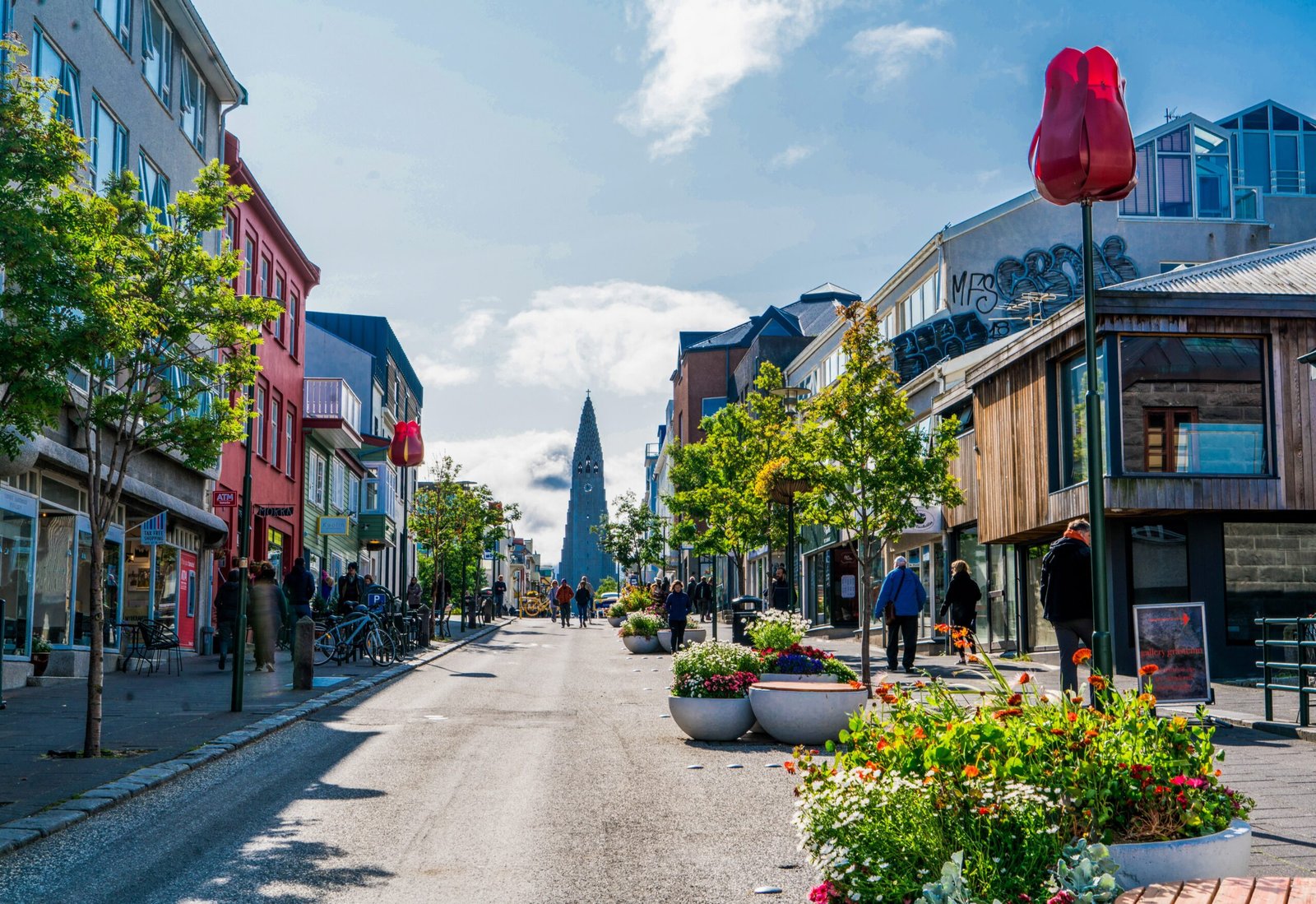 Reykjavík Classic Private Tour