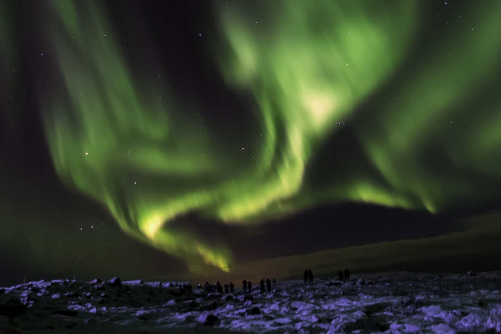 Reykjavík Evening & Northern Lights Private Tour (Winter)